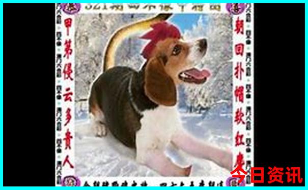 夏季哪些城市适合避暑
